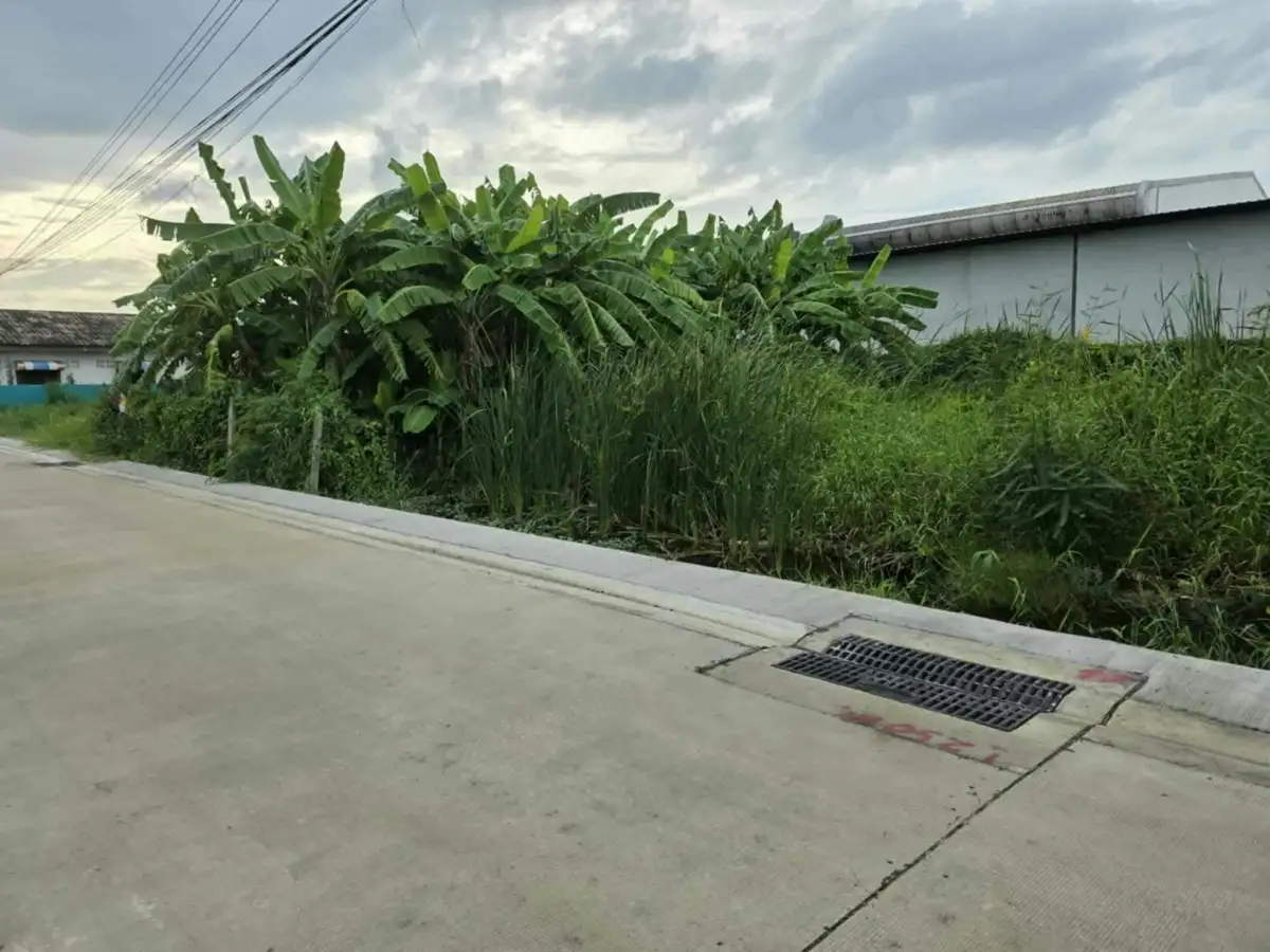 ขายที่ดินเปล่า 50 ตรว. ถนนกรุงเทพกรีฑา-ลาดกระบัง
